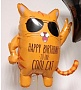 Шар, Котик HB TO ONE COOL CAT 1
